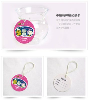 馨馨貓草頭 辦公室綠植新寵，免澆水設計引領創意禮品潮流