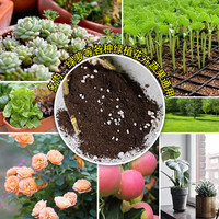 當代人的隱秘桃源 為何養花成了新寵