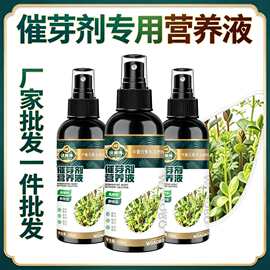 家庭花卉種子批發 養花達人的進階之道